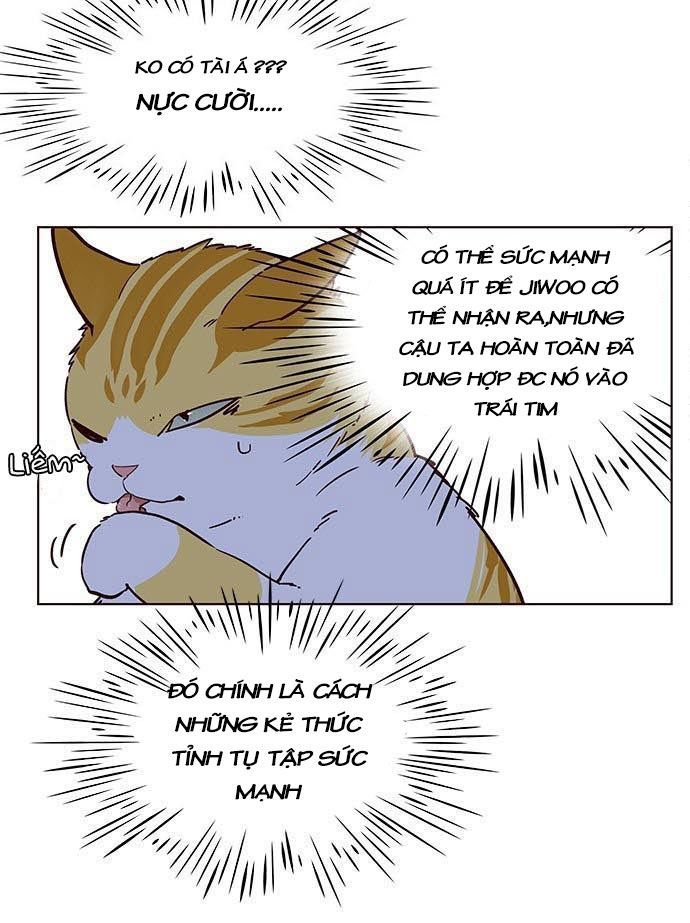Hoá Thân Thành Mèo Chapter 9 - Trang 2