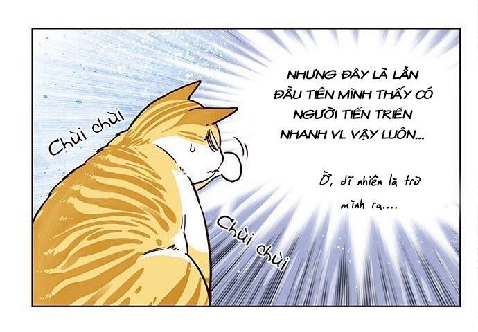 Hoá Thân Thành Mèo Chapter 9 - Trang 2