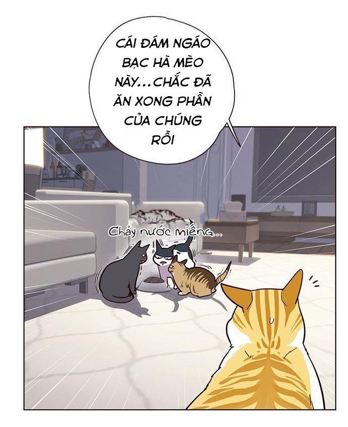 Hoá Thân Thành Mèo Chapter 9 - Trang 2