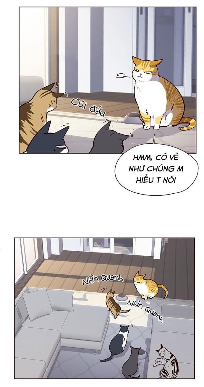 Hoá Thân Thành Mèo Chapter 9 - Trang 2