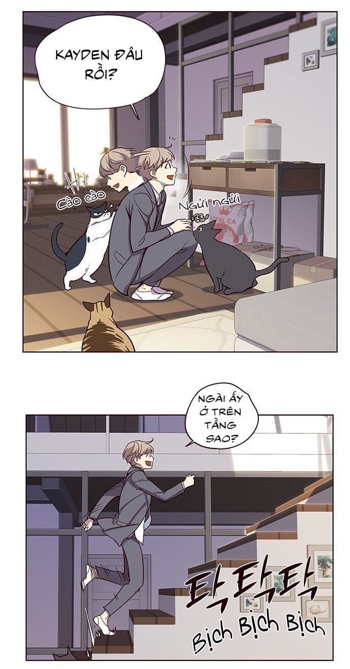 Hoá Thân Thành Mèo Chapter 9 - Trang 2