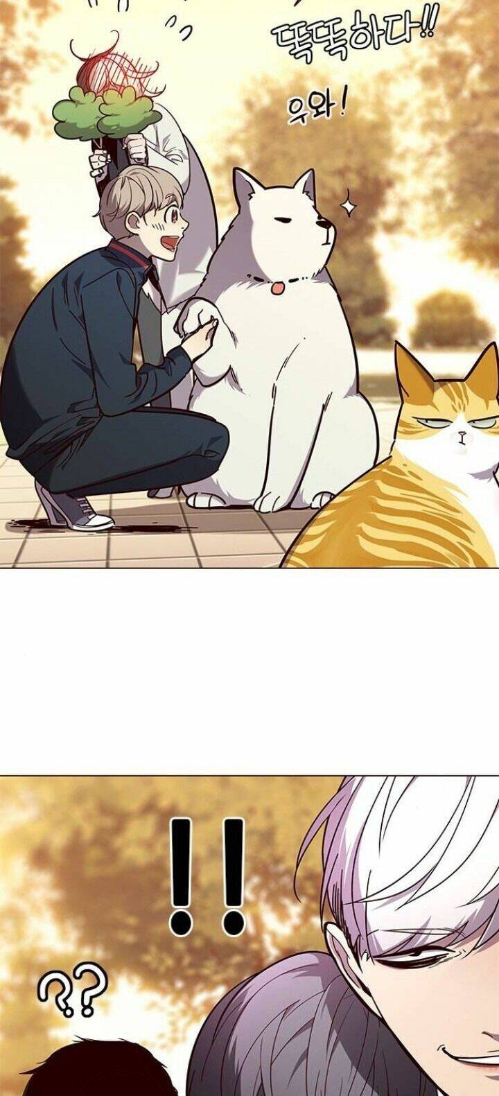 Hoá Thân Thành Mèo Chapter 90 - Trang 2