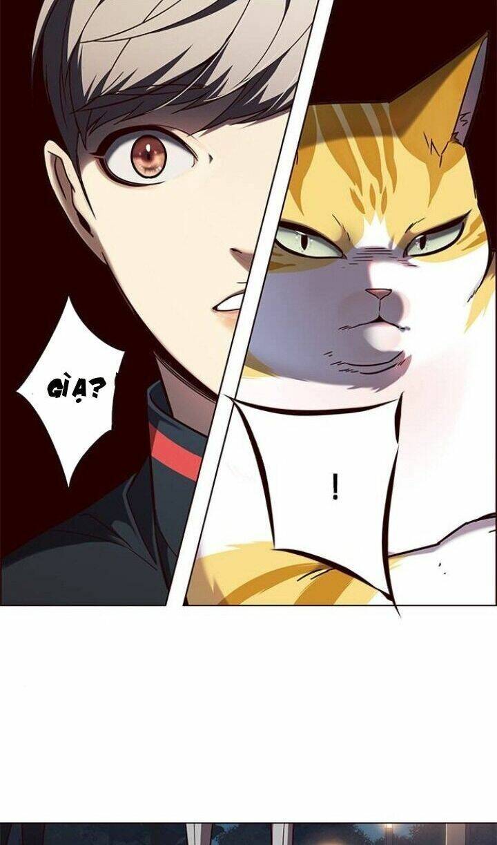 Hoá Thân Thành Mèo Chapter 91 - Trang 2