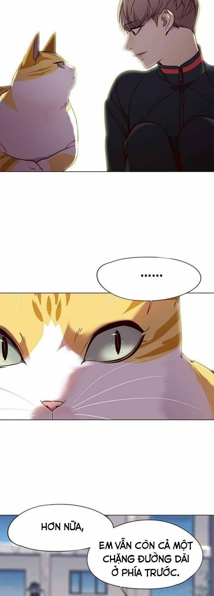 Hoá Thân Thành Mèo Chapter 92 - Trang 2