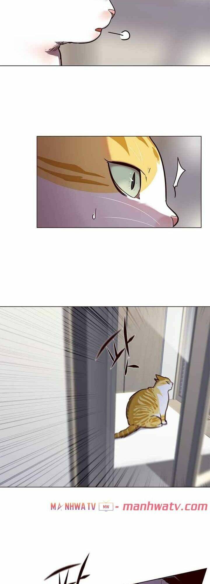 Hoá Thân Thành Mèo Chapter 92 - Trang 2