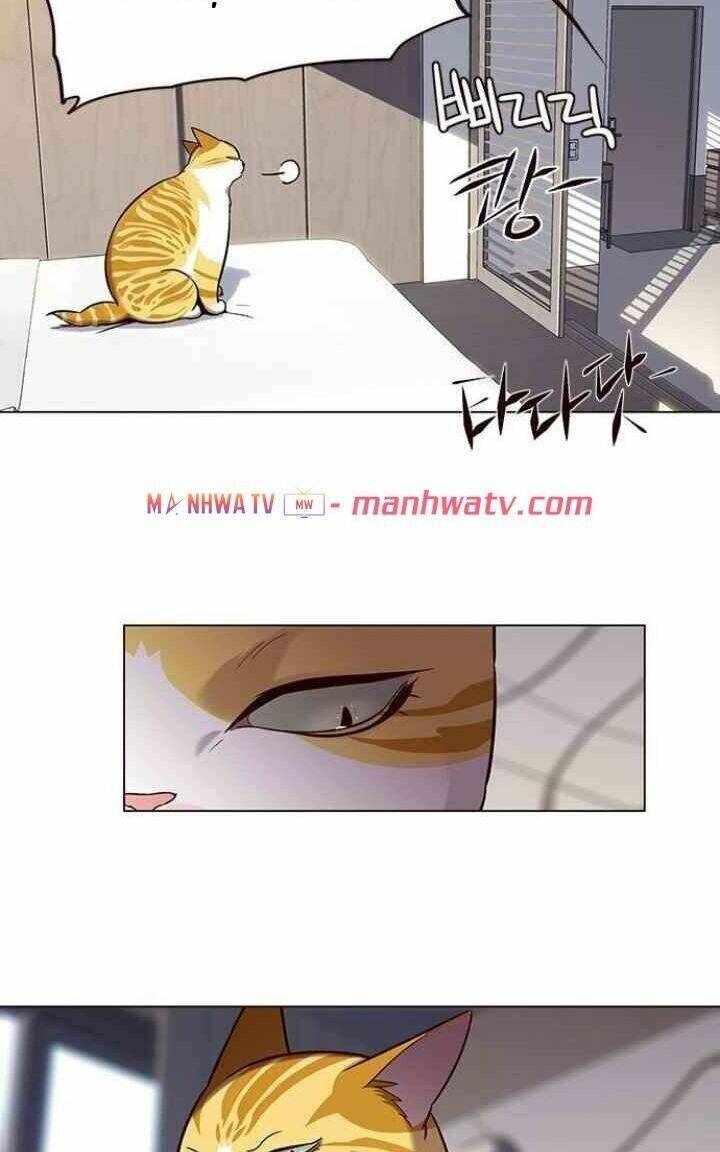 Hoá Thân Thành Mèo Chapter 95 - Trang 2