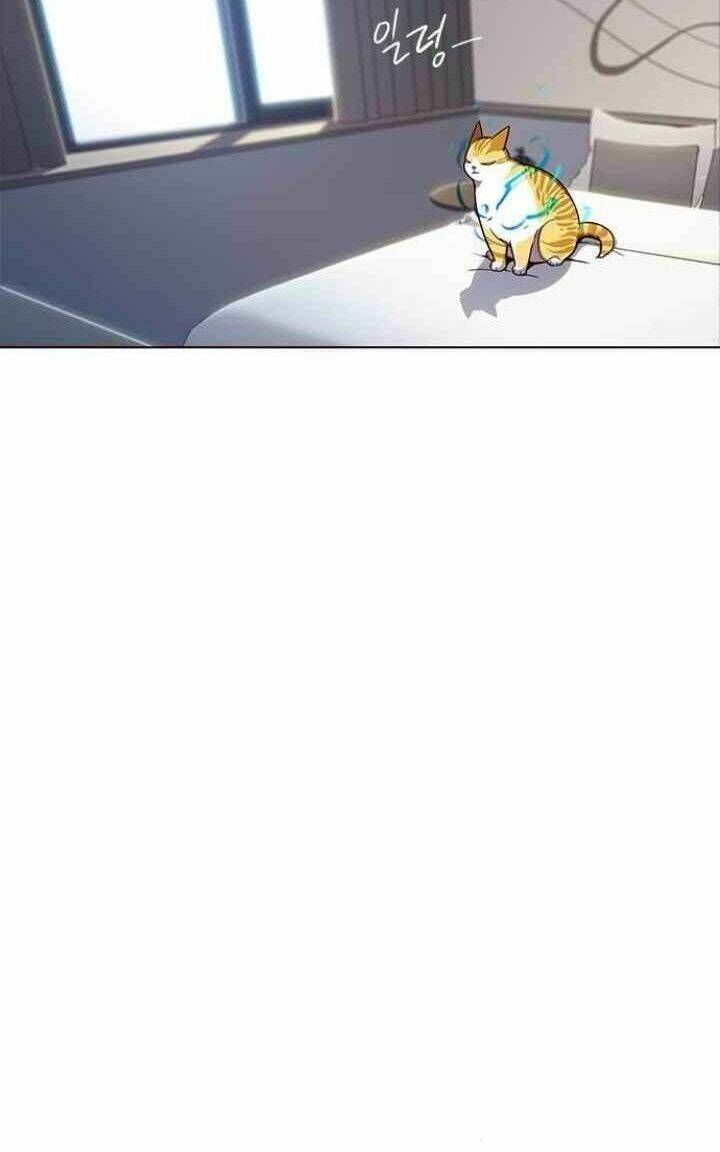 Hoá Thân Thành Mèo Chapter 95 - Trang 2