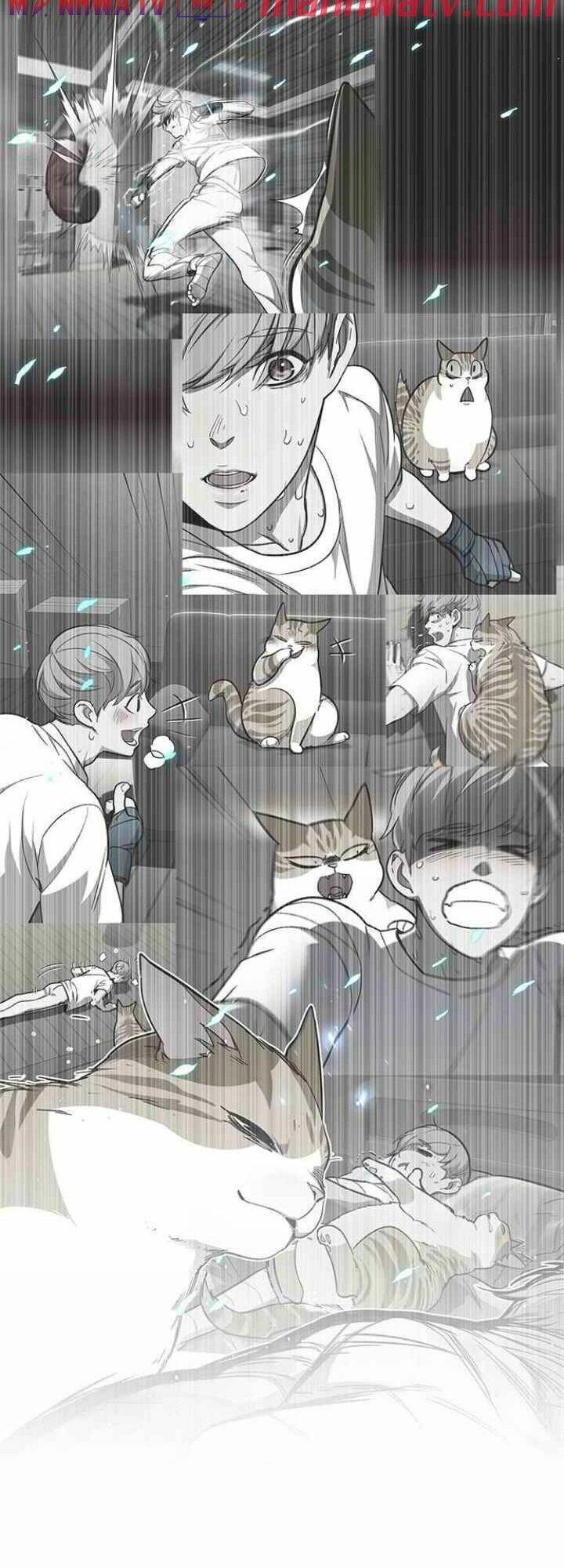 Hoá Thân Thành Mèo Chapter 99 - Trang 2