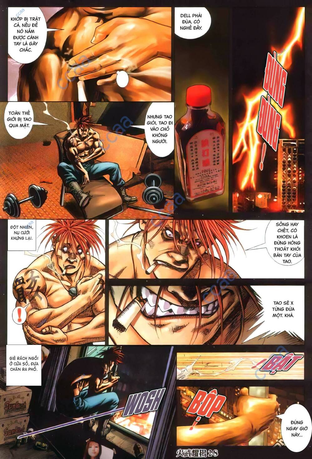 Hỏa Vũ Diệu Dương Chapter 367 - Trang 2