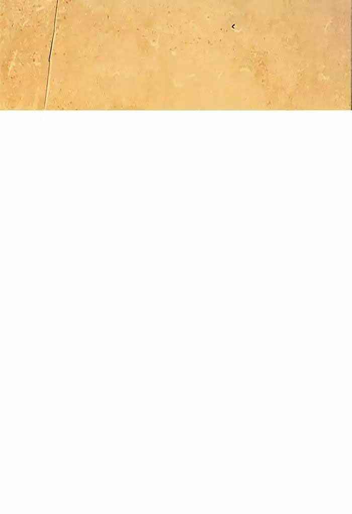 Hoán Đổi Diệu Kì Chapter 191 - Trang 2