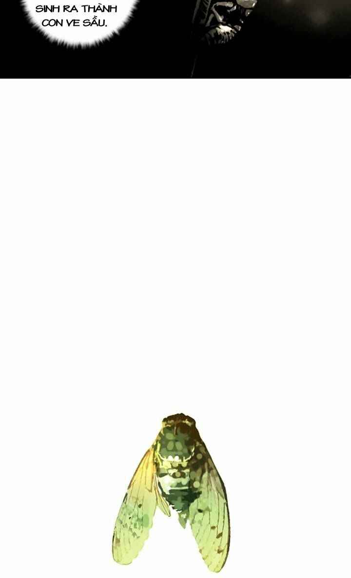 Hoán Đổi Diệu Kì Chapter 2 - Trang 2