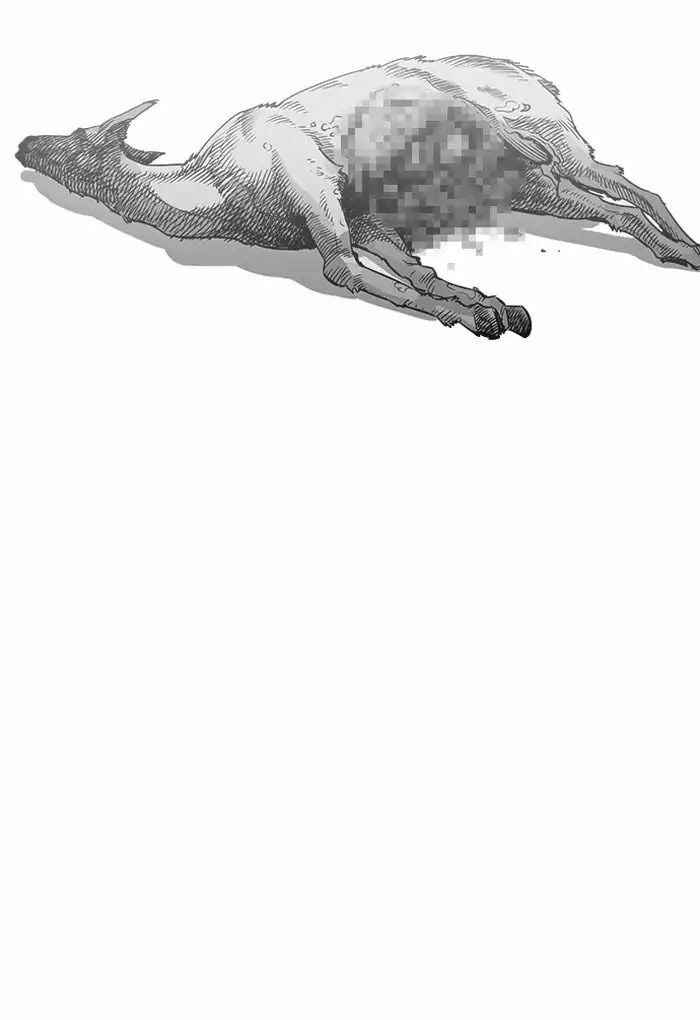 Hoán Đổi Diệu Kì Chapter 202 - Trang 2