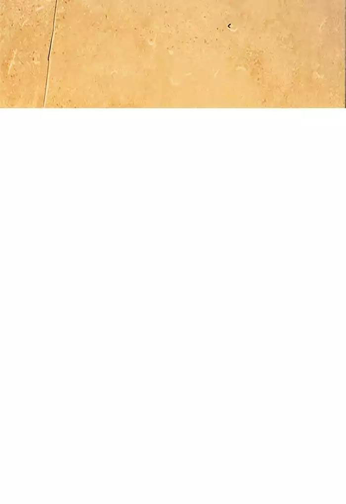 Hoán Đổi Diệu Kỳ Chapter 191 - Trang 2