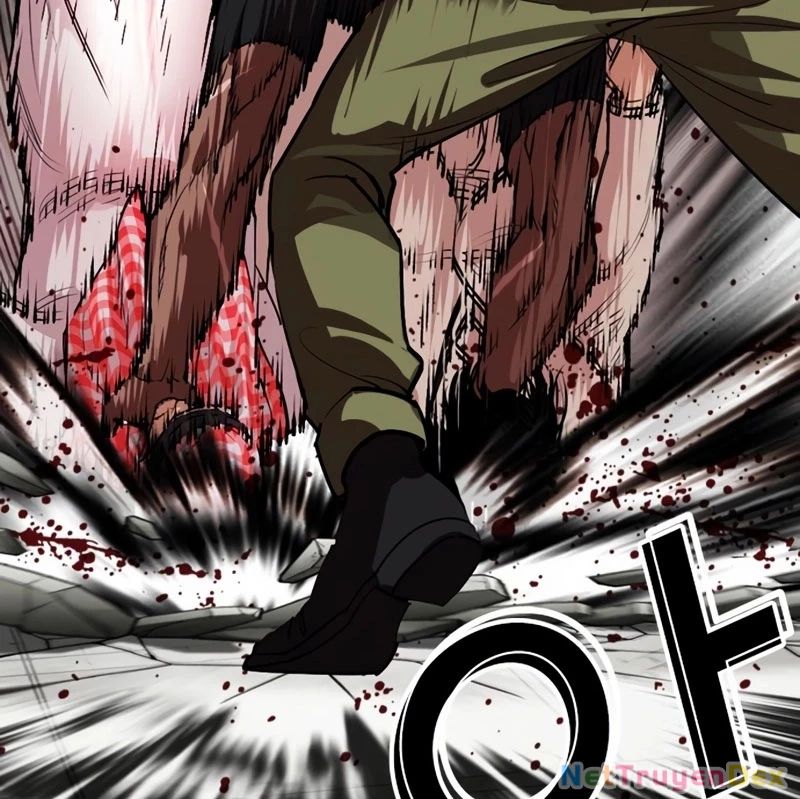 Hoán Đổi Diệu Kỳ Chapter 535 - Trang 2