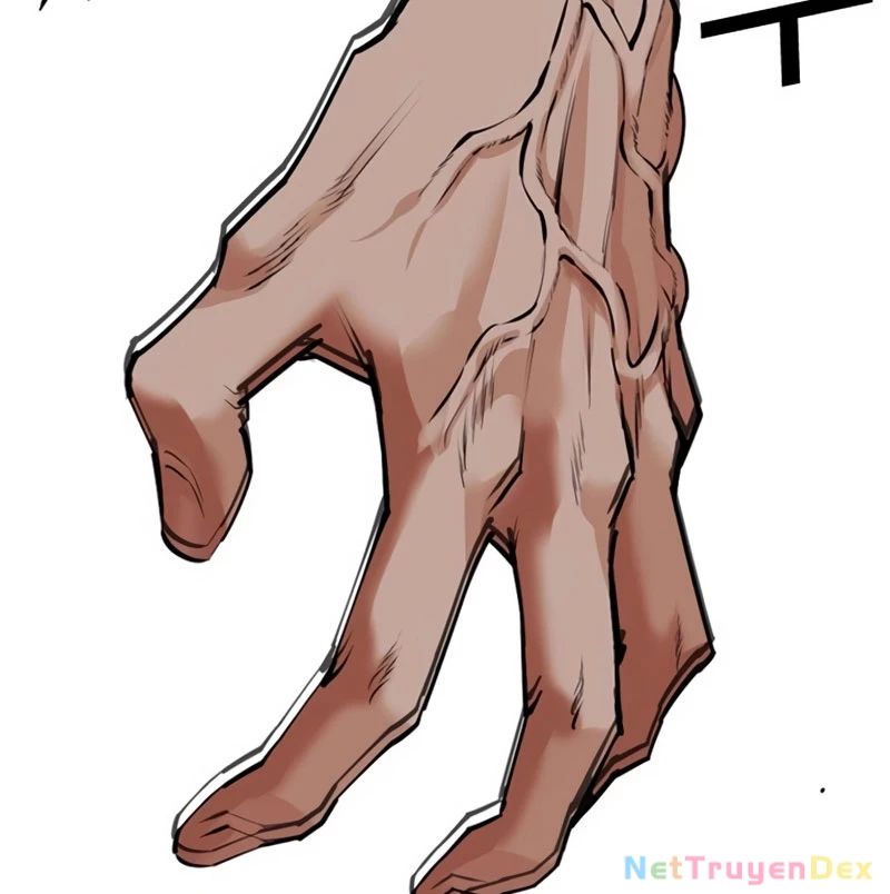 Hoán Đổi Diệu Kỳ Chapter 535 - Trang 2