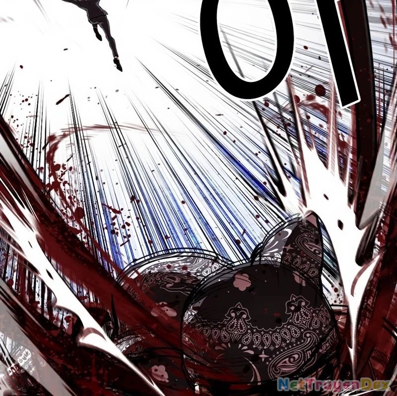 Hoán Đổi Diệu Kỳ Chapter 536 - Trang 2