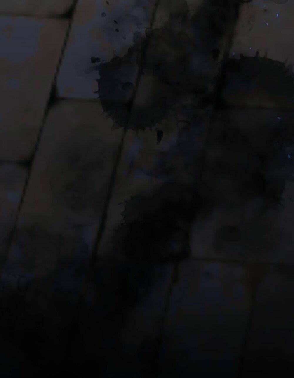 Hoán Đổi Linh Hồn Chapter 13.1 - Trang 2