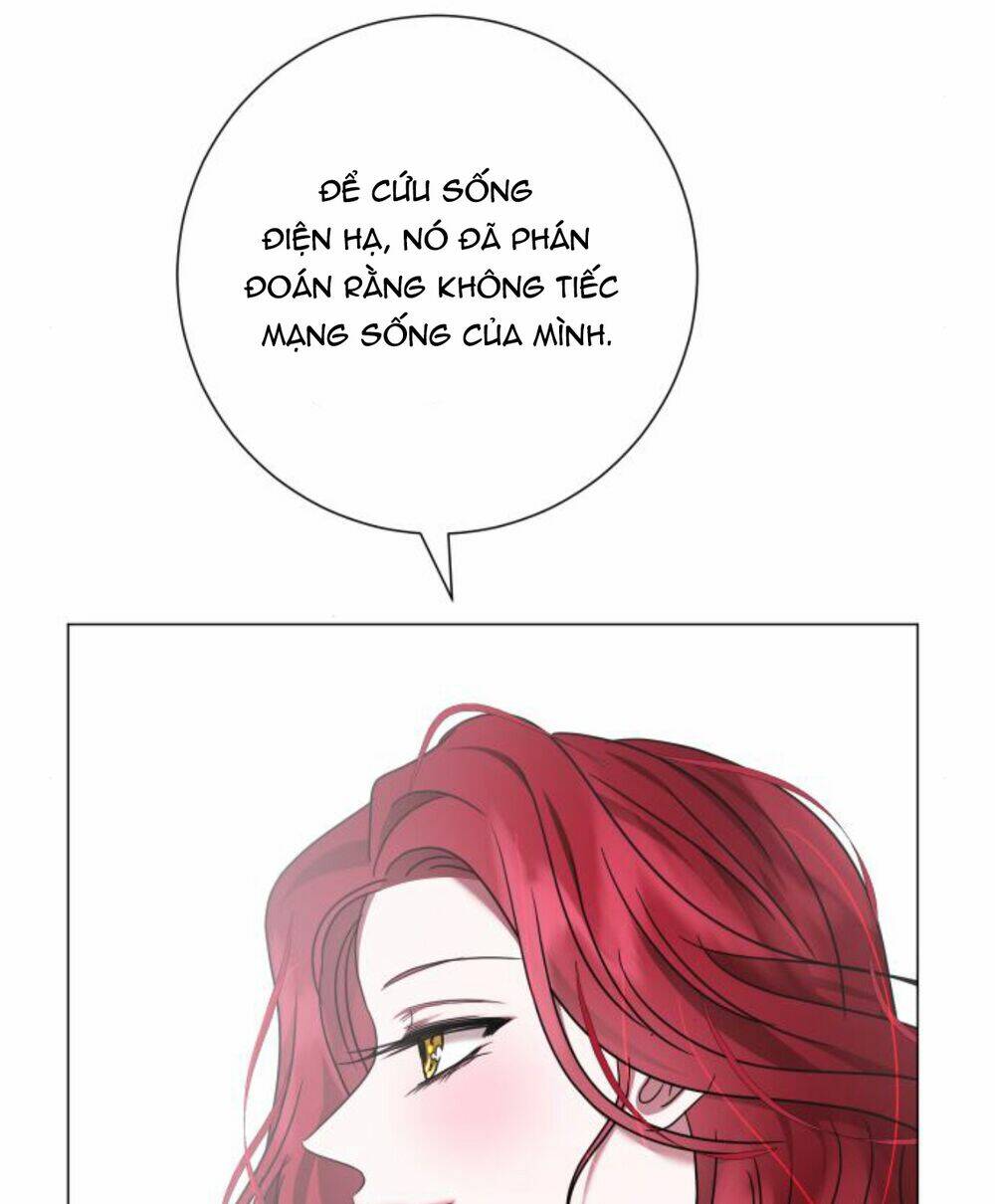 Hoán Đổi Linh Hồn Chapter 25 - Trang 2