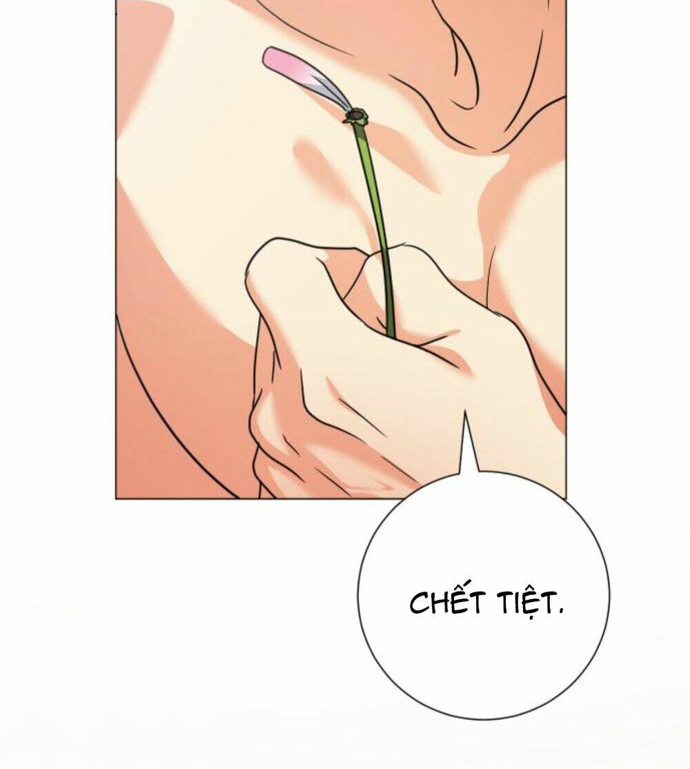 Hoán Đổi Linh Hồn Chapter 29 - Trang 2