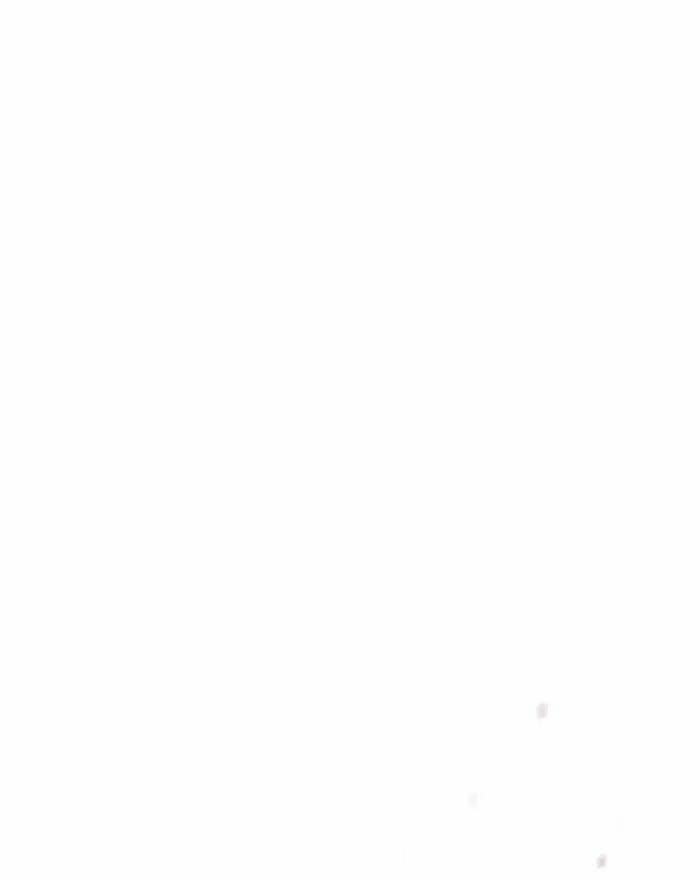 Hoán Đổi Nhiệm Màu Chapter 197 - Trang 2