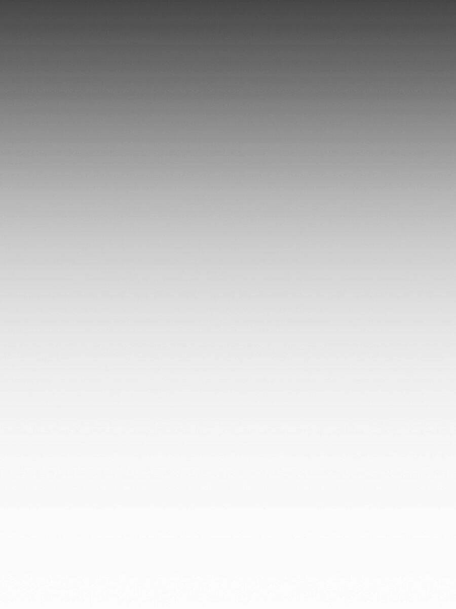 Hoán Đổi Nhiệm Màu Chapter 312 - Trang 2