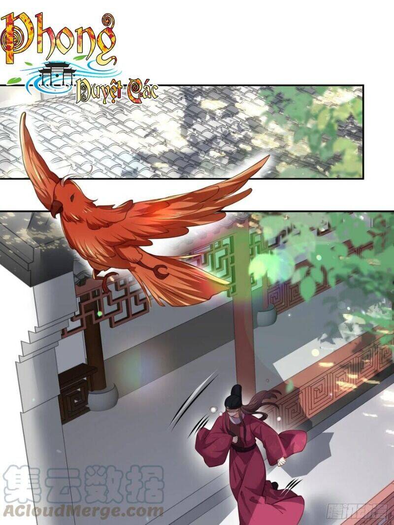 Hoạn Phi Thiên Hạ Chapter 127 - Trang 2