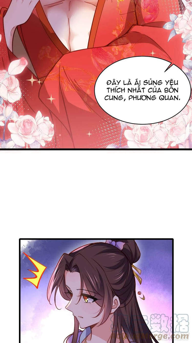 Hoạn Phi Thiên Hạ Chapter 169 - Trang 2