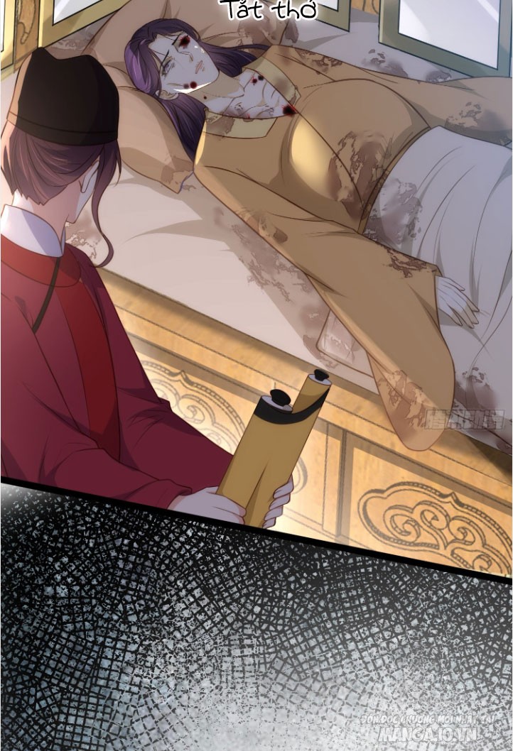 Hoạn Phi Thiên Hạ Chapter 288 - Trang 2