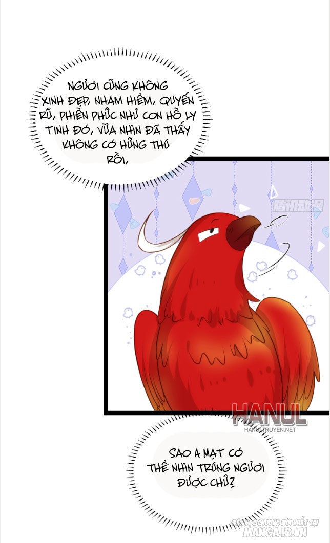 Hoạn Phi Thiên Hạ Chapter 291 - Trang 2