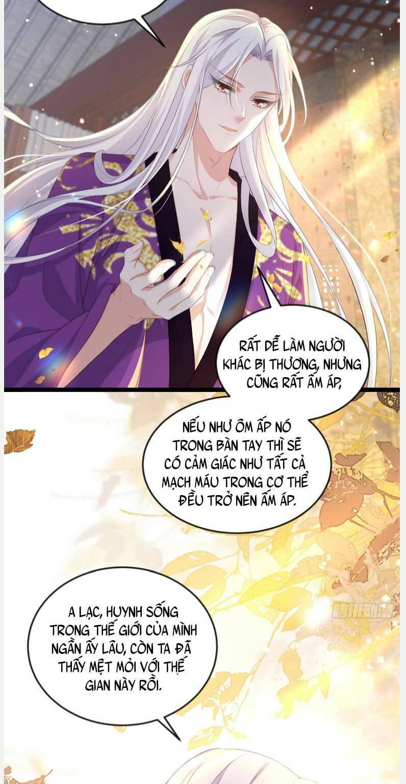 Hoạn Phi Thiên Hạ Chapter 358 - Trang 2