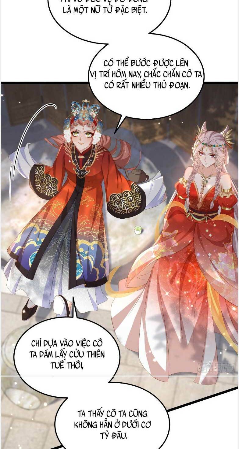 Hoạn Phi Thiên Hạ Chapter 359 - Trang 2