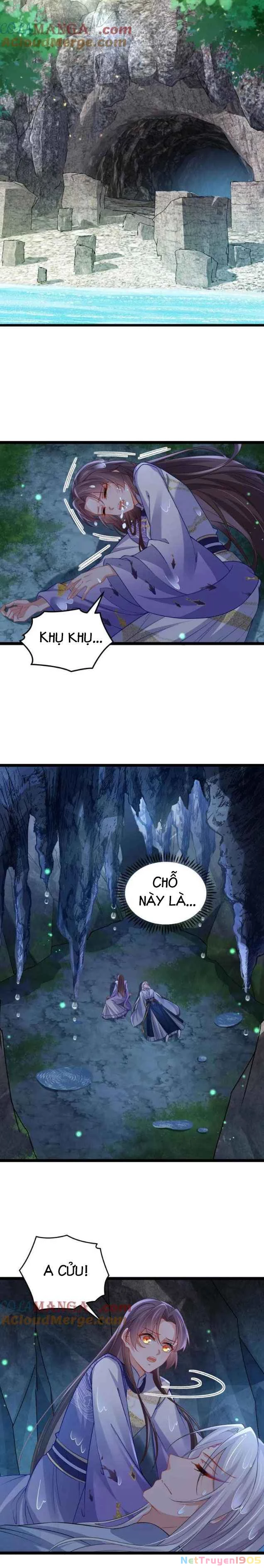 Hoạn Phi Thiên Hạ Chapter 409 - Trang 2