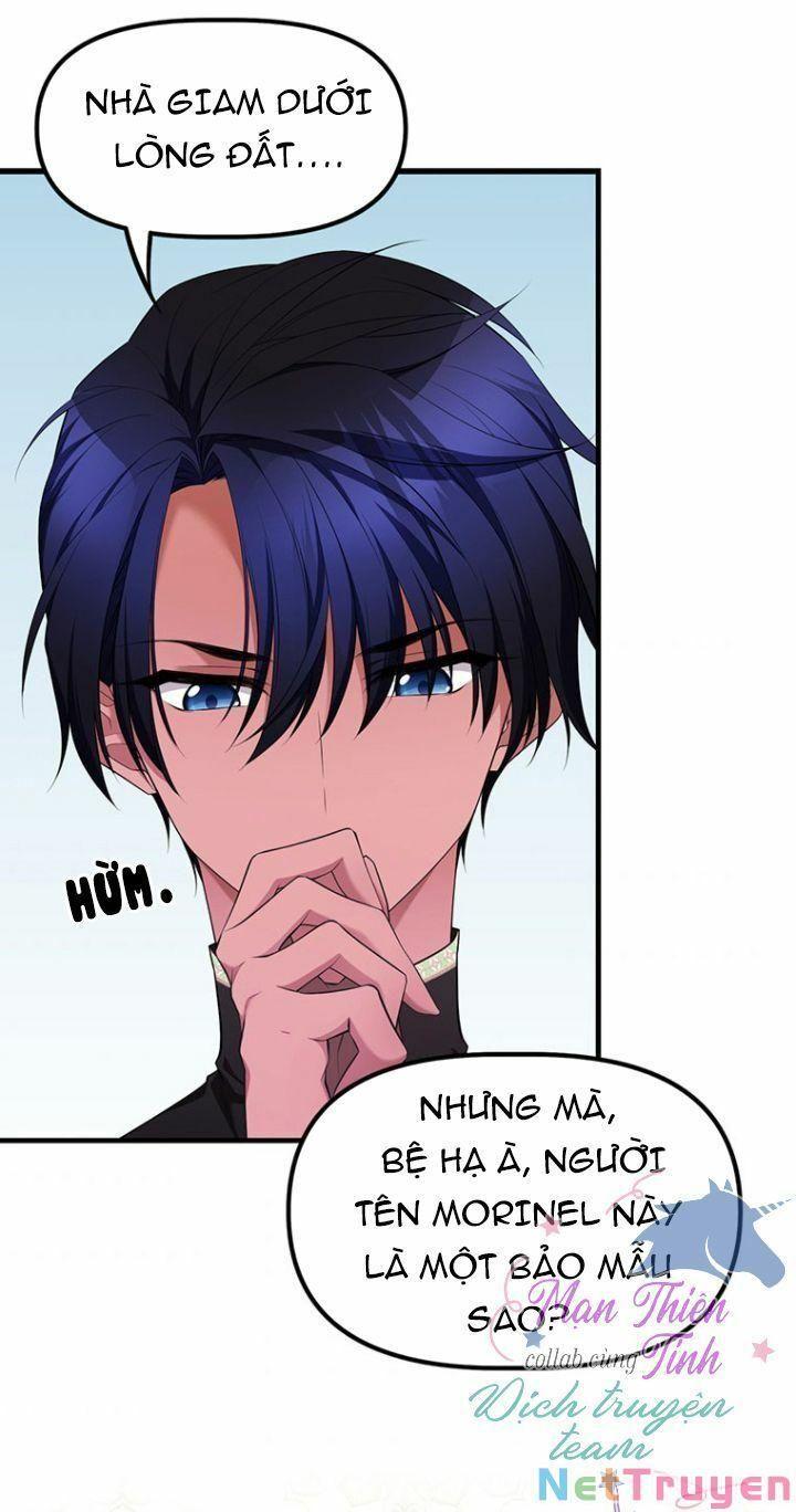 Hoàng Đế Bệ Hạ Là Mãnh Thú Chapter 11 - Trang 2