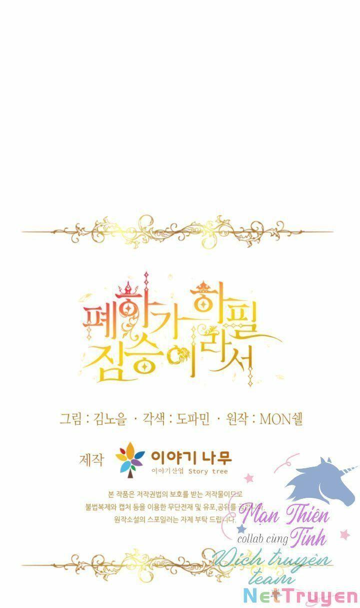 Hoàng Đế Bệ Hạ Là Mãnh Thú Chapter 11 - Trang 2