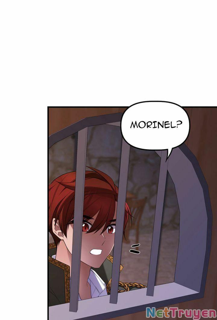 Hoàng Đế Bệ Hạ Là Mãnh Thú Chapter 12 - Trang 2