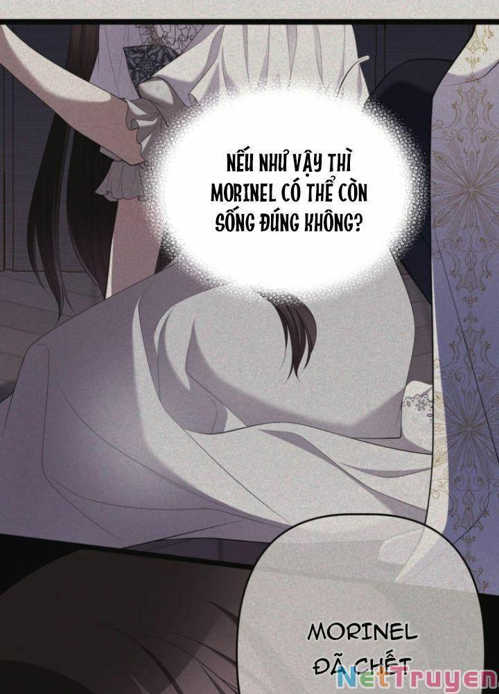 Hoàng Đế Bệ Hạ Là Mãnh Thú Chapter 13 - Trang 2