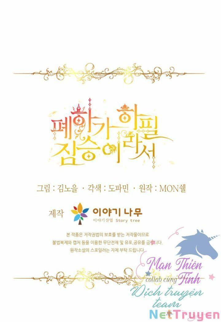 Hoàng Đế Bệ Hạ Là Mãnh Thú Chapter 13 - Trang 2