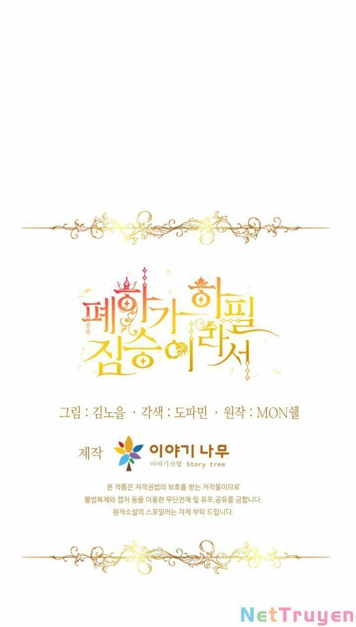 Hoàng Đế Bệ Hạ Là Mãnh Thú Chapter 16 - Trang 2