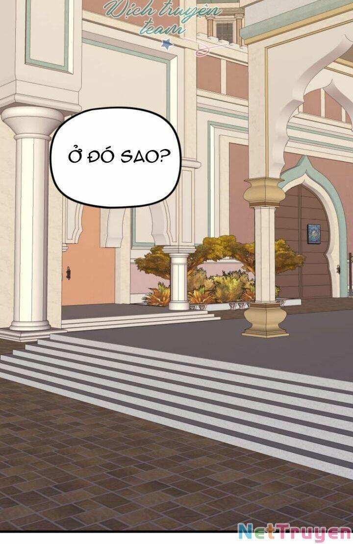 Hoàng Đế Bệ Hạ Là Mãnh Thú Chapter 19 - Trang 2