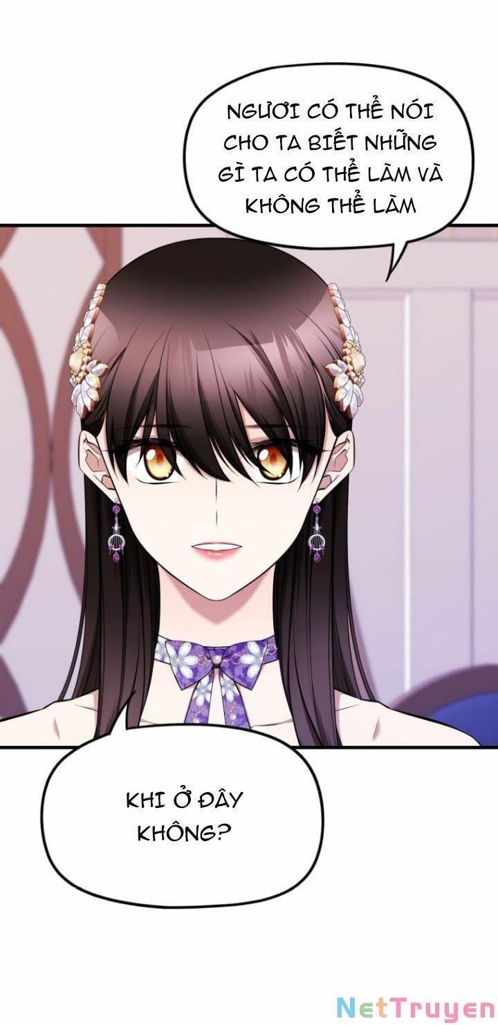 Hoàng Đế Bệ Hạ Là Mãnh Thú Chapter 19 - Trang 2