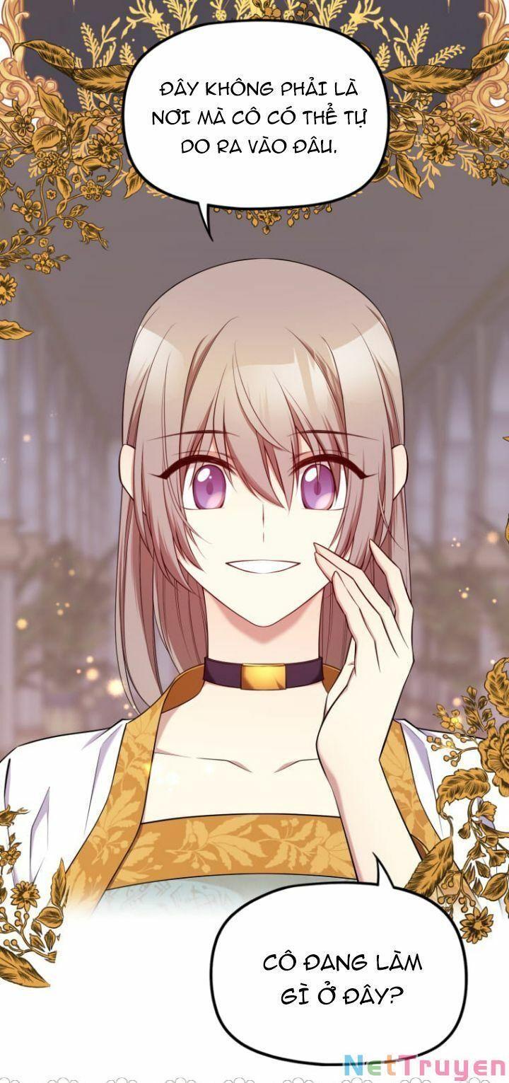 Hoàng Đế Bệ Hạ Là Mãnh Thú Chapter 19 - Trang 2