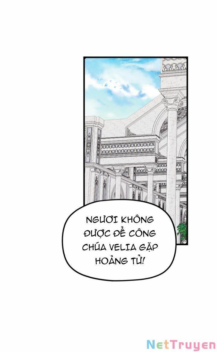 Hoàng Đế Bệ Hạ Là Mãnh Thú Chapter 19 - Trang 2