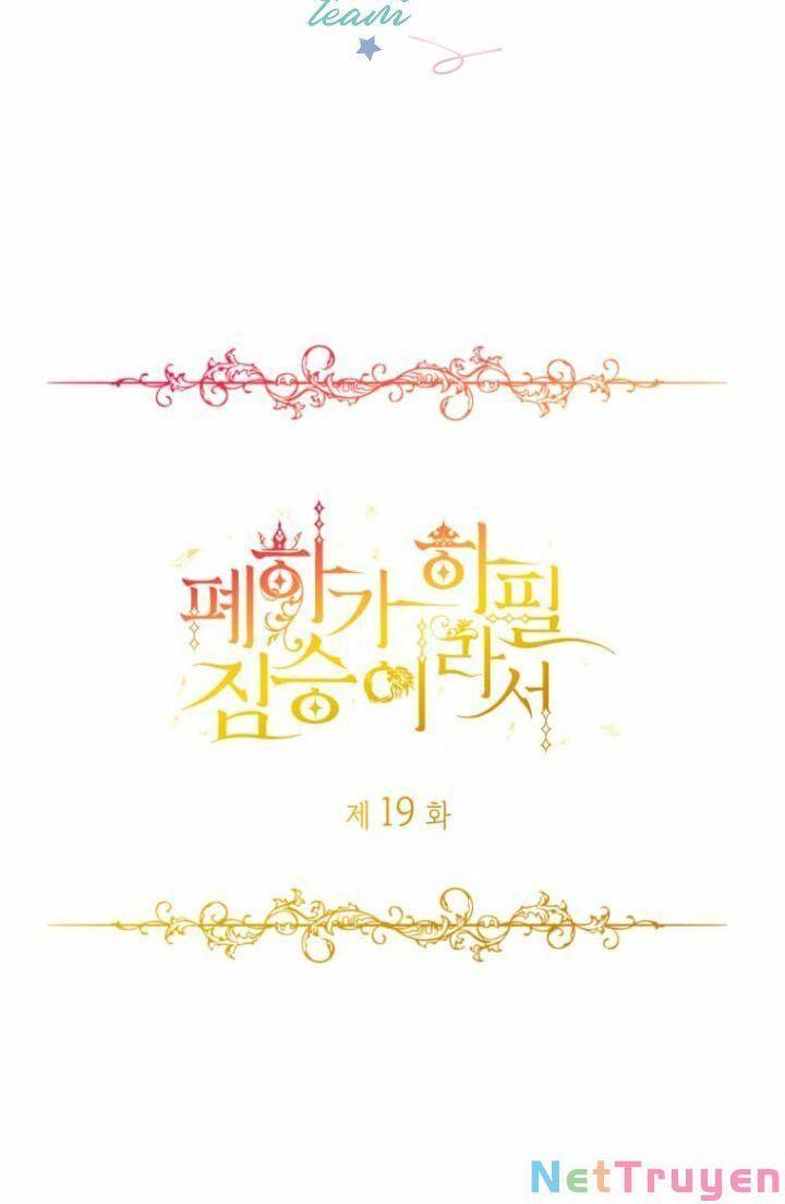 Hoàng Đế Bệ Hạ Là Mãnh Thú Chapter 19 - Trang 2