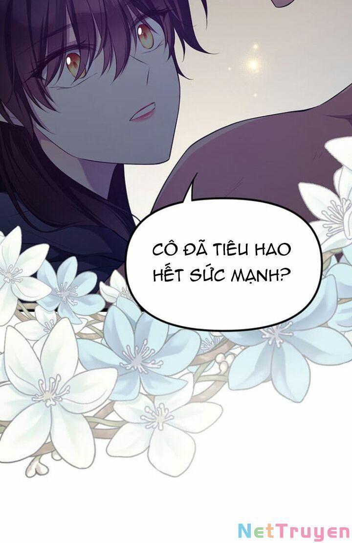 Hoàng Đế Bệ Hạ Là Mãnh Thú Chapter 2 - Trang 2