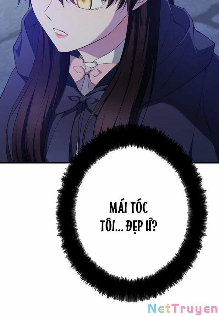 Hoàng Đế Bệ Hạ Là Mãnh Thú Chapter 2 - Trang 2