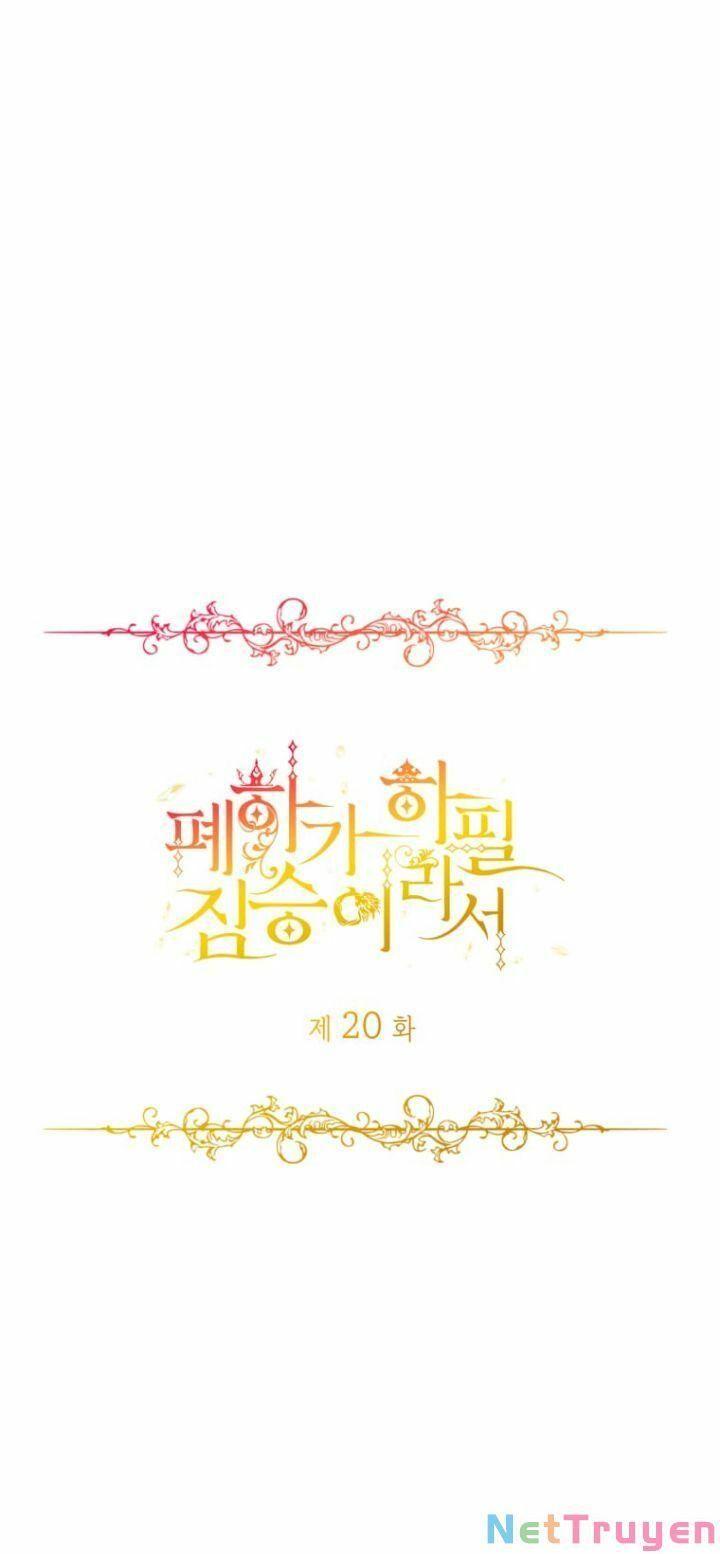 Hoàng Đế Bệ Hạ Là Mãnh Thú Chapter 20 - Trang 2