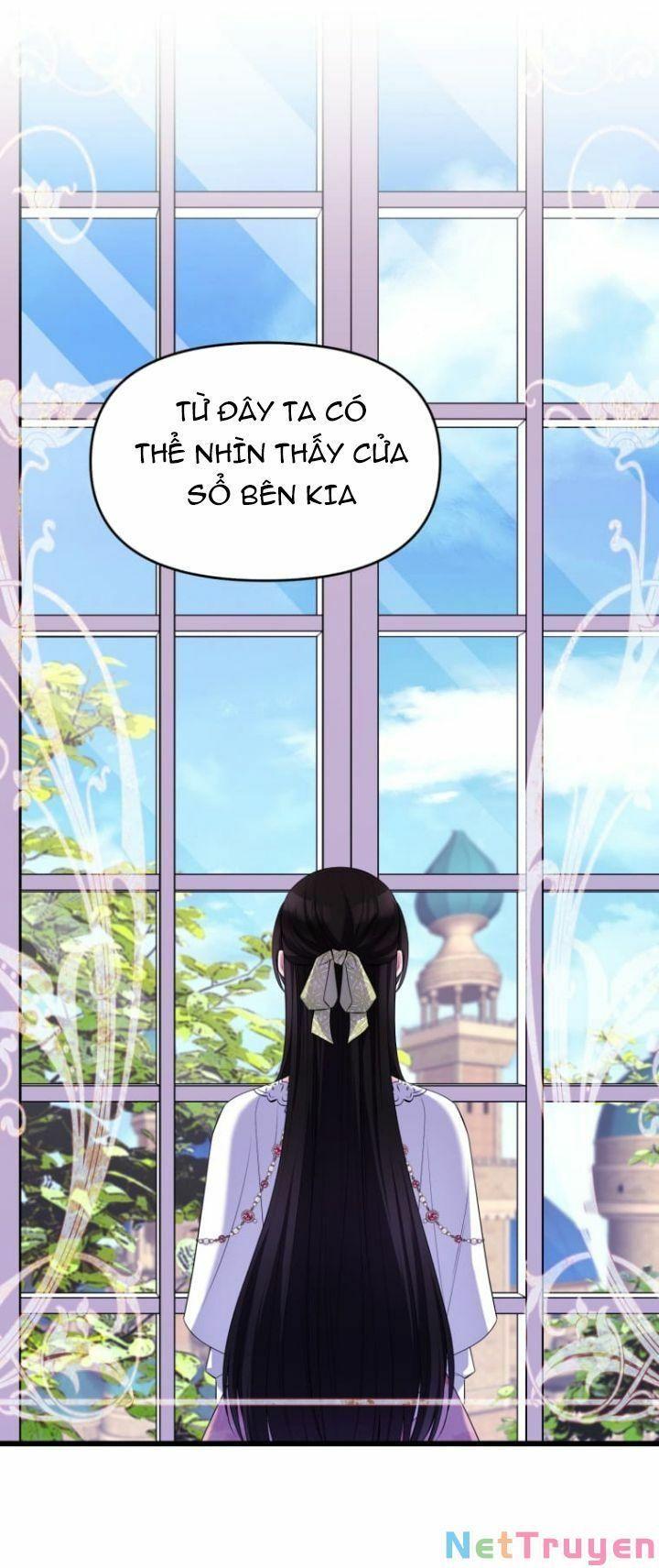 Hoàng Đế Bệ Hạ Là Mãnh Thú Chapter 23 - Trang 2