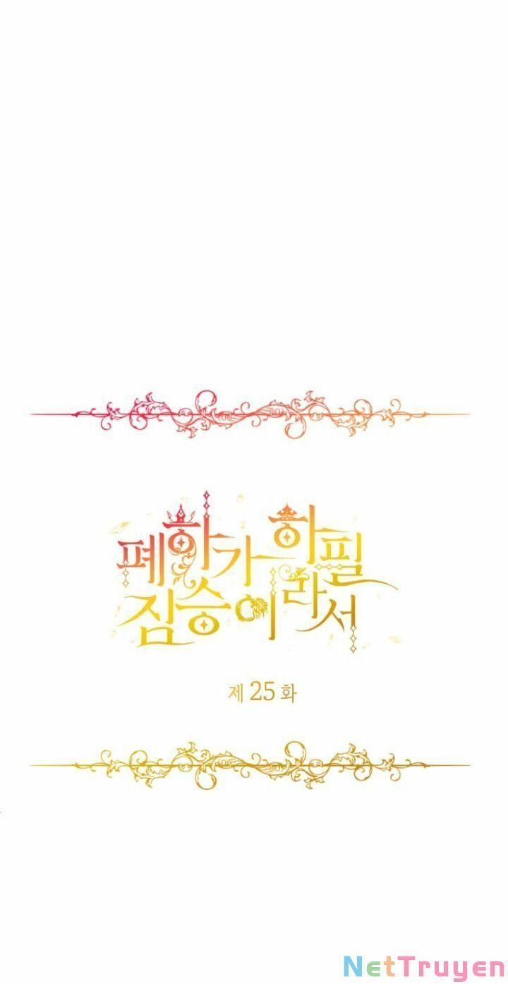 Hoàng Đế Bệ Hạ Là Mãnh Thú Chapter 25 - Trang 2