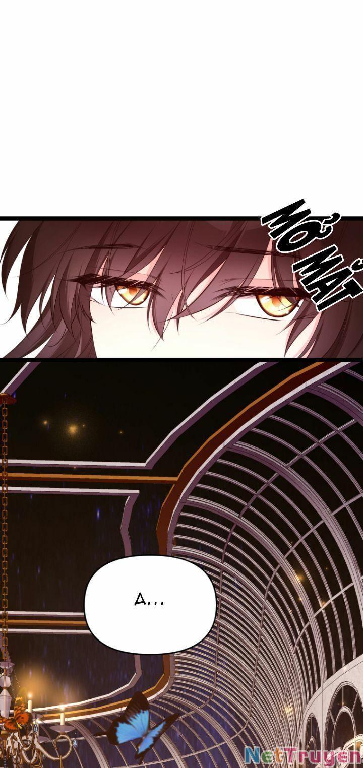 Hoàng Đế Bệ Hạ Là Mãnh Thú Chapter 25 - Trang 2