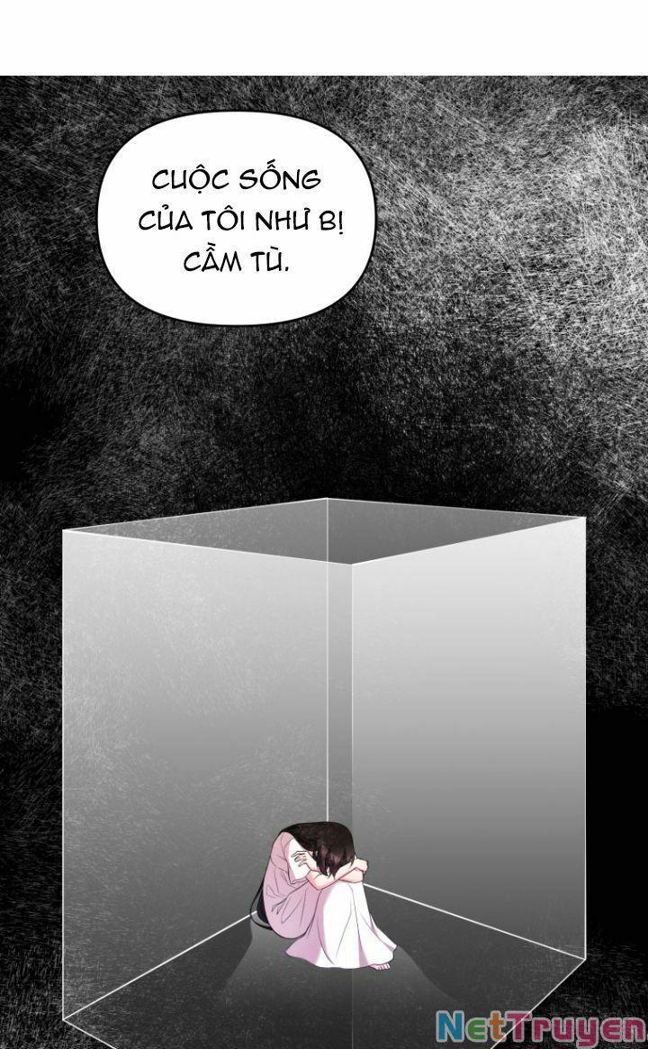 Hoàng Đế Bệ Hạ Là Mãnh Thú Chapter 29 - Trang 2